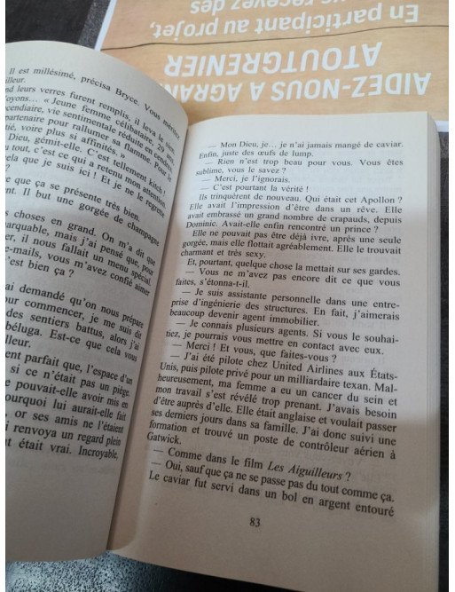 Pour l'éternité - Peter James