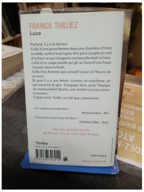 Luca - Franck Thilliez