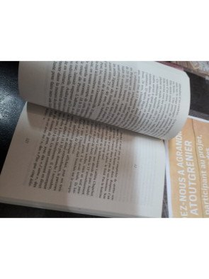 Luca - Franck Thilliez