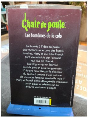 Chair de poule Tome 32 - Les fantômes de la colo - R. L. Stine