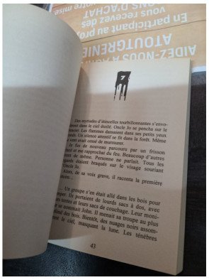 Chair de poule Tome 32 - Les fantômes de la colo - R. L. Stine