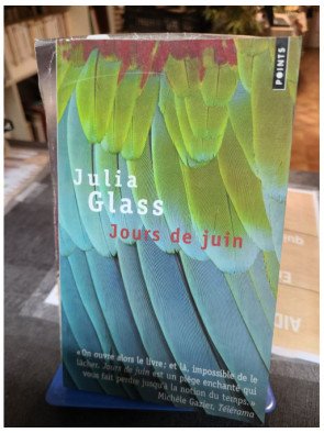 Jours de juin - Julia Glass