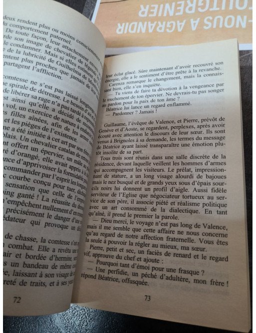 Les Demoiselles de Provence - Patrick de Carolis