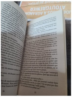 De sang et d'ébène - Donna Leon