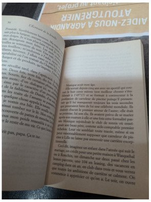 L'Écrivain de la famille - Grégoire Delacourt