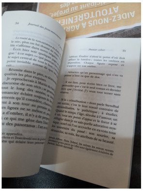 Journal des faux-monnayeurs - André Gide