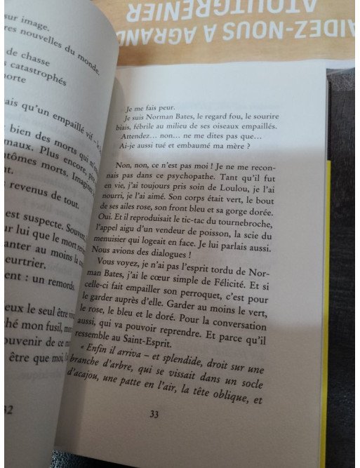 L'Arche Titanic - Éric Chevillard