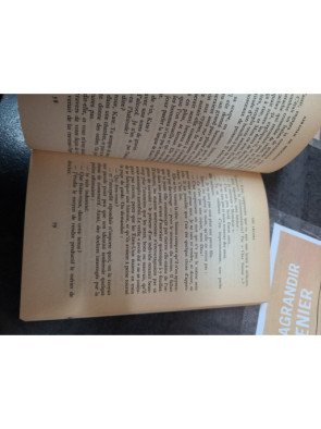 Abraham de Brooklyn Didier Decoin – Roman poche