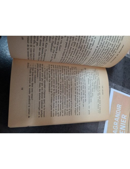 Abraham de Brooklyn Didier Decoin – Roman poche