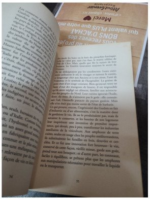 La Gaule racontée aux Gaulois de Camille Jullian et André Santini