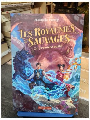 Les Royaumes Sauvages Tome 2 La Première Quête de Amanda Foody