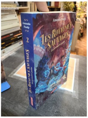 Les Royaumes Sauvages Tome 2 La Première Quête de Amanda Foody