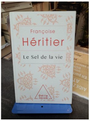 Le sel de la vie - Lettre à un ami - Françoise Héritier