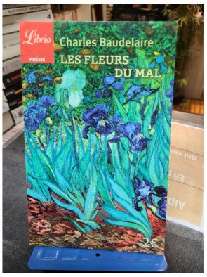 Les Fleurs du mal - Charles Baudelaire - Édition J'ai Lu