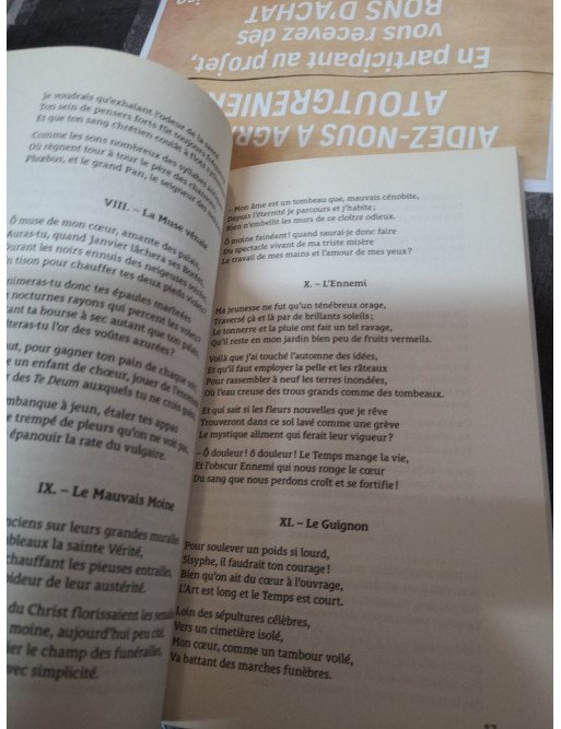 Les Fleurs du mal - Charles Baudelaire - Édition J'ai Lu