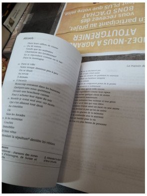 Alcools - Classiques et Patrimoine - Guillaume Apollinaire