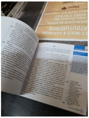 Un cœur simple de Gustave Flaubert