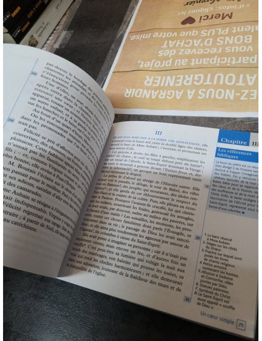 Un cœur simple de Gustave Flaubert