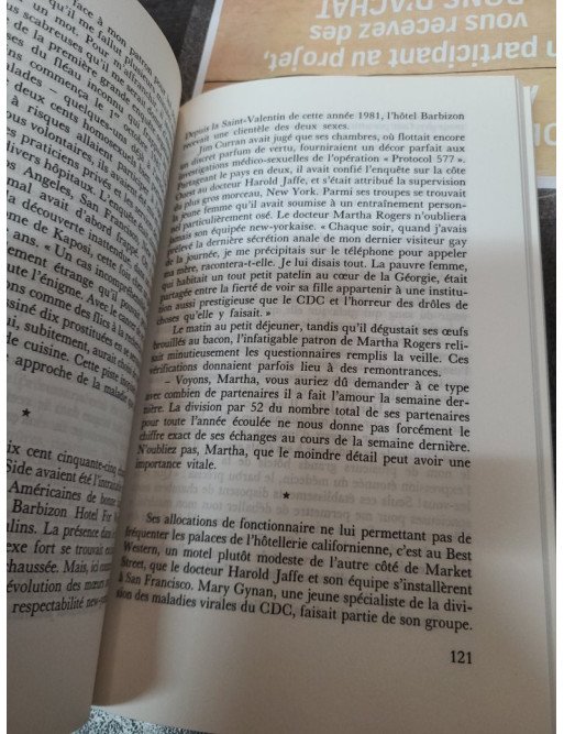 Plus grands que l amour de Dominique Lapierre