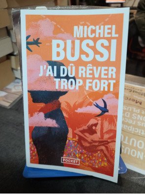 J'ai dú rêver trop fort de Michel Bussi