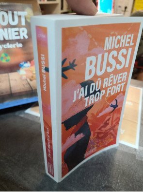 J'ai dú rêver trop fort de Michel Bussi