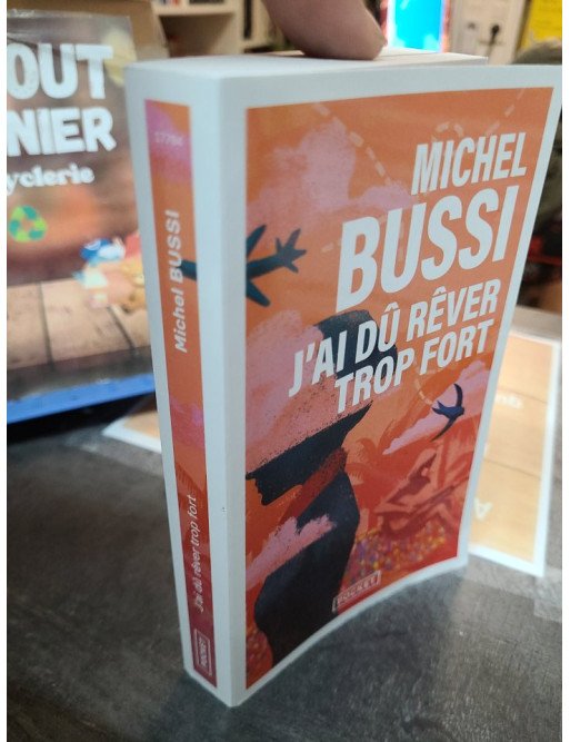 J'ai dú rêver trop fort de Michel Bussi