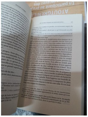 D'Alep à Paris Les pérégrinations d'un jeune Syrien au temps de Louis XIV Hanna Dyâb