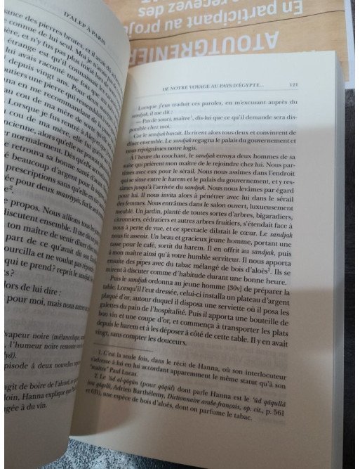 D'Alep à Paris Les pérégrinations d'un jeune Syrien au temps de Louis XIV Hanna Dyâb