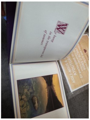 Romancing the Land Loraine Monk