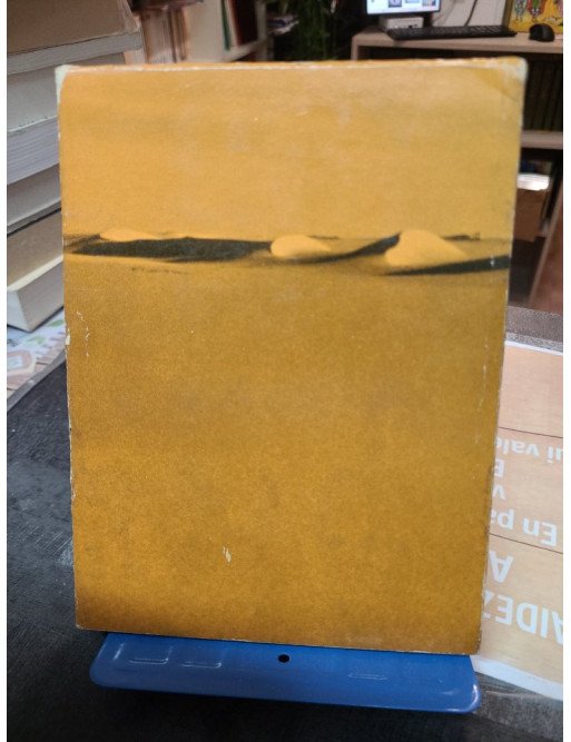 Sahara de l'aventure Frison-Roche R.