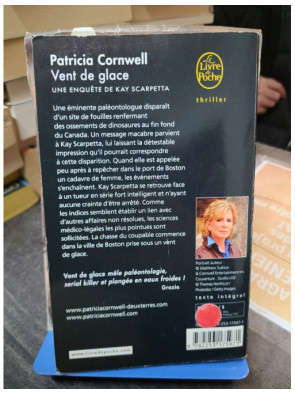 Vent de glace - Une enquête de Kay Scarpetta