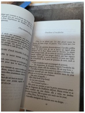 Je vous écris de Téhéran Delphine Minoui