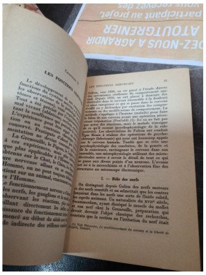 Le système nerveux Paul Chauchard