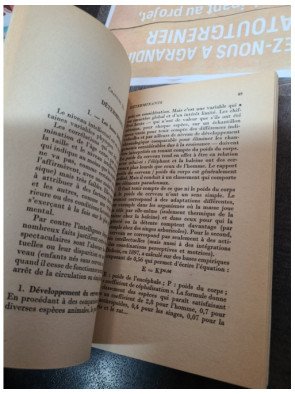 L'intelligence Pierre Oléron