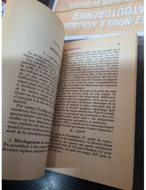 L'intelligence Pierre Oléron