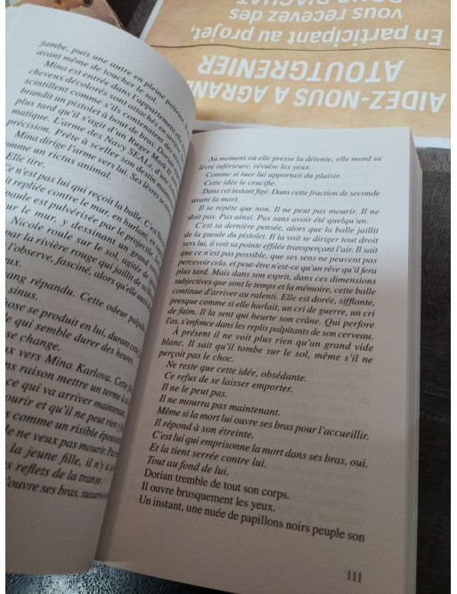 La mort en tête de Cédric Sire
