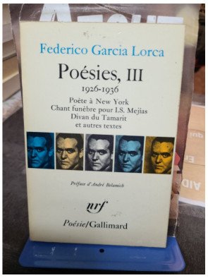 Poésies - Tome 3 : Poète à New-York, Chant funèbre pour I.S. Mejias, Divan du Tamarit