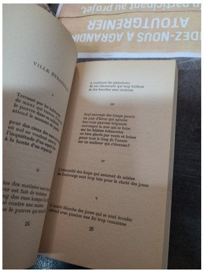 L'Instant Fatal precede de Les Ziaux de Raymond Queneau