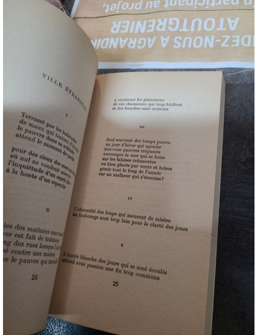 L'Instant Fatal precede de Les Ziaux de Raymond Queneau