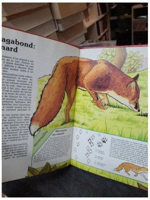 Le Bois – Explorons la nature par Michael Chinery