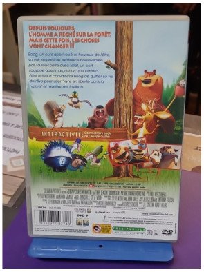 Les Rebelles de la forêt (DVD)