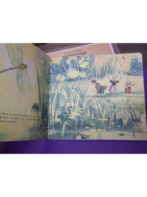 Demoiselle Libellule – Les Albums du Père Castor – A. Telier