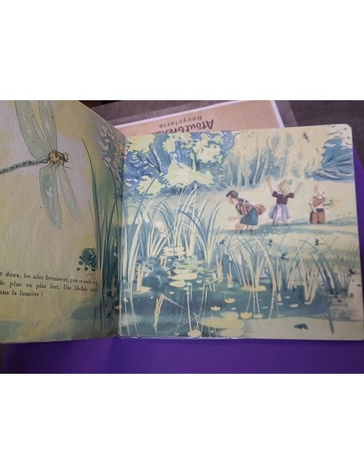 Demoiselle Libellule – Les Albums du Père Castor – A. Telier