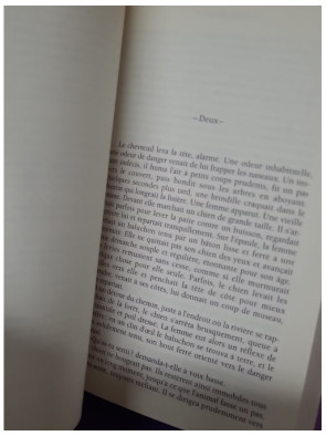 Magicienne - Didier Quesne