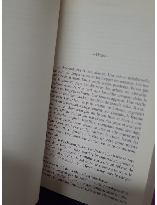 Magicienne - Didier Quesne