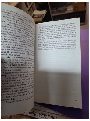 Le mystère de Home Valley – Karen Harper