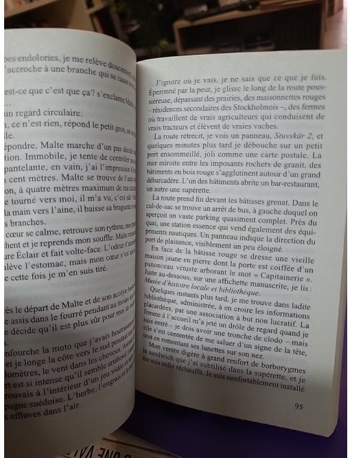 L'ombre de la baleine thriller Camilla Grebe