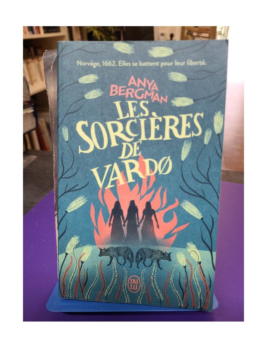 Les sorcières de Vardø roman historique Anya Bergman