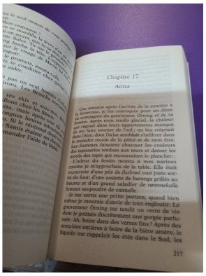 Les sorcières de Vardø roman historique Anya Bergman