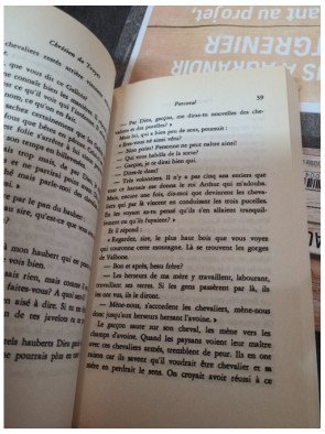 Perceval ou le Roman du Graal - Chrétien de Troyes